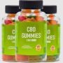 Calmwell CBD Gummies Reviews