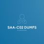 SAA-C02 Dumps