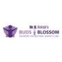 BudstoBlossom