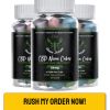 https://sites.google.com/view/green-lobster-cbd-gummies/