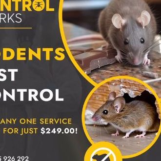 Best Pest Control Services In Kensington