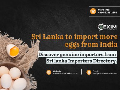 Sri Lanka to import more eggs from India.
Discover genuine importers from Sri Lanka Importers Directory.
Visit here: https://eximtradedata.com/sri-lanka-import-export-data
#srilankaimportexportdata
#srilankaimportdata
#srilankaexportdata
#globalimportexportdataprovider
#IndiaImportExportData
#importexportdata