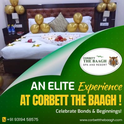 An Elite Experience Corbett The Baagh!
Celebrate Bonds &amp; Beginnings! 

Visit at -https://www.corbettthebaagh.com/