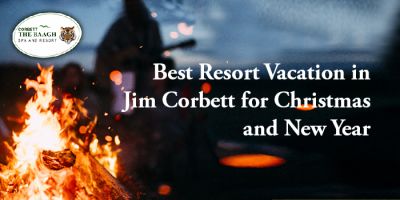 All about visiting Jim Corbett in winters! Although the wildlife sanctuary in itself will not disappoint you, make sure you book a cozy resort that promises a comfortable stay.

Visit at -https://www.corbettthebaagh.com/blog/here-why-you-should-visit-jim-corbett-in-winter