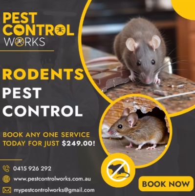 Pest control services in Kensington. Are there too many birds and bees around?  Pest Control Works provides pest control services throughout Kensington, including rodent infestations, cockroaches, fleas, and bed bugs. If you need effective pest control services, contact our specialists right now.  Call us right away to learn more about our pest control services in Kensington.  Visit US:  https://pestcontrolworks.com.au/best-pest-control-services-in-kensington/