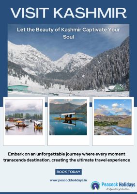 Discover the enchanting beauty of Kashmir with our 6 Days Kashmir Tour Package. Explore breathtaking landscapes, vibrant local culture, and serene settings in this unforgettable journey. With Peacock Holidays, experience top-notch service and personalized itineraries tailored to your preferences. Book now to immerse yourself in the charm of Kashmir, and let us turn your dream vacation into a reality. Choose Peacock Holidays for an unparalleled adventure in the heart of paradise.

https://www.peacockholidays.in/tour/6-days-kashmir-tour-package