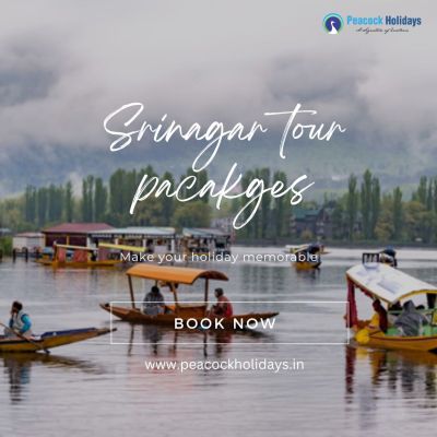 Discover the best Srinagar holiday packages with Peacock Holidays! expertly crafted itineraries offer a blend of breathtaking landscapes and luxurious accommodations, ensuring an unforgettable experience. From serene Dal Lake houseboats to scenic gardens, our packages cater to every traveler’s dream. Trust Peacock Holidays to deliver personalized service and exceptional value for your Srinagar adventure. Book with us today for a journey through the enchanting beauty of Kashmir! For more information visit the Website peacockholidays.in


https://www.peacockholidays.in/tour/srinagar-holiday-packages