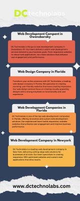 Creative Web Design Company in Florida