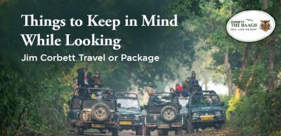 Places to Visit in Jim Corbett
https://www.corbettthebaagh.com/blog/things-to-keep-in-mind-while-looking-for-jim-corbett-travel-or-package
Among the many places to visit in Jim Corbett, the unmissable ones are the Jim Corbett National Park, the Corbett Museum, Sitabani Jungle, Corbett Falls, and more. Book your stay and tours with Corbett the Baagh 5-star resort and spa.